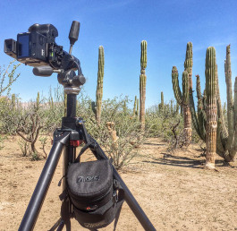 location mexico suche nach dem richtigen spot für das foto | jens ihnken fotograf frankfurt 